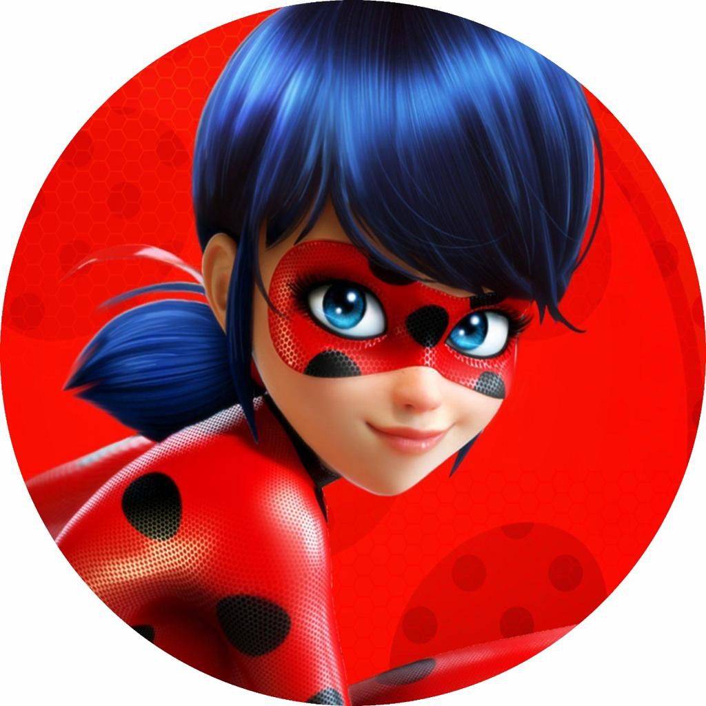 Painel Lady Bug