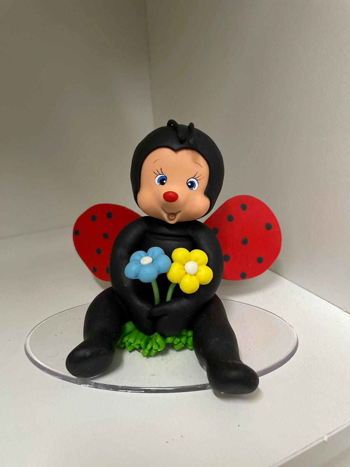 Joaninha Biscuit