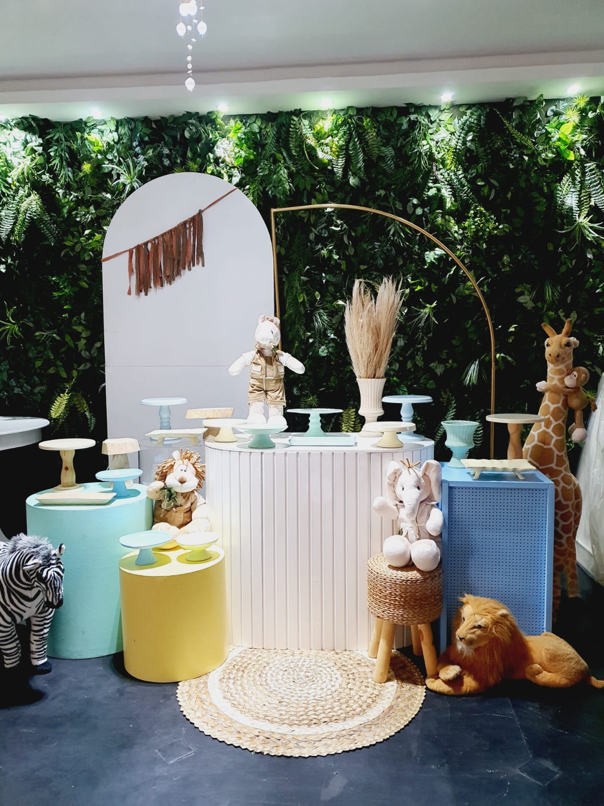 Kit safari baby luxo