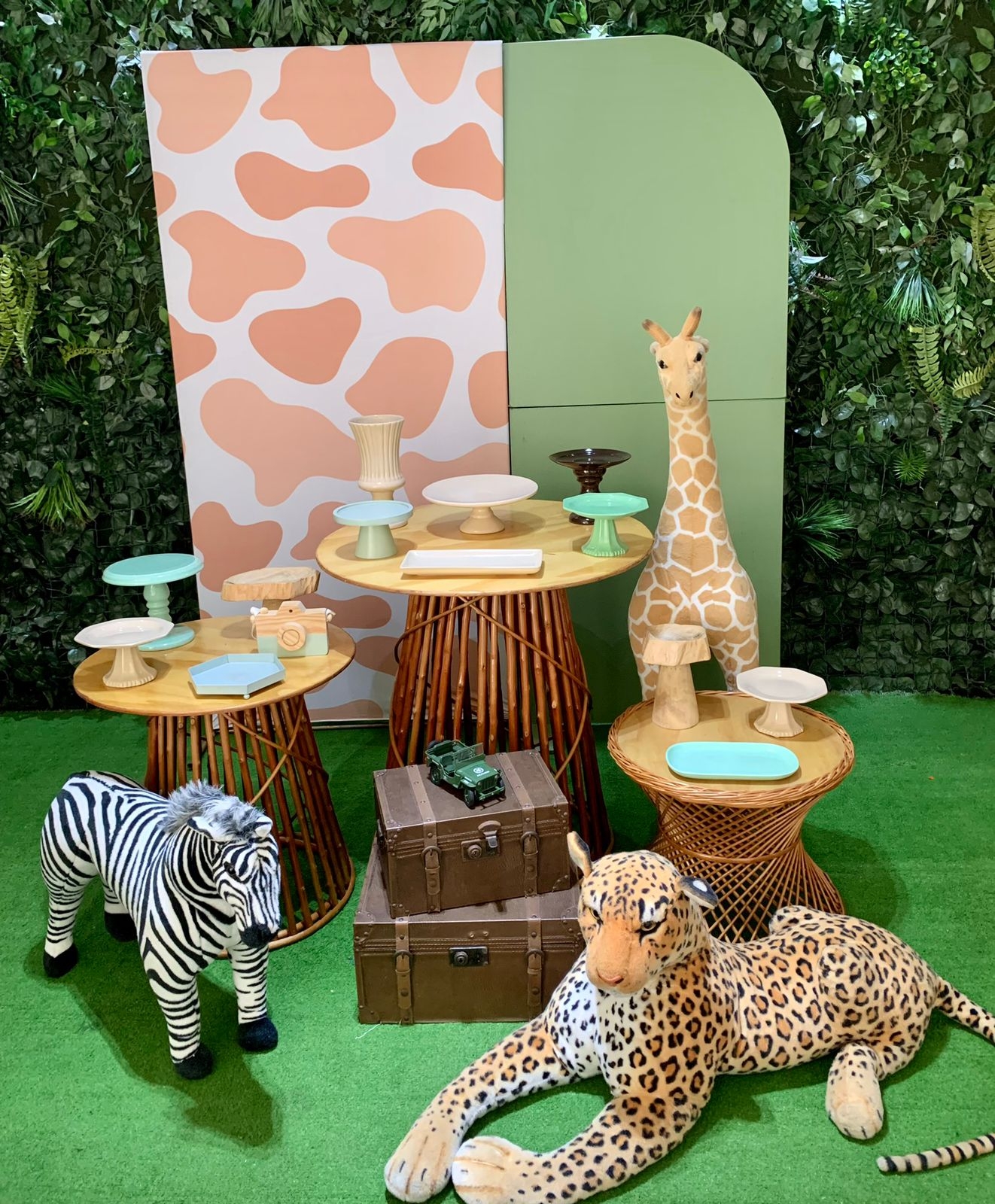 Kit safari II