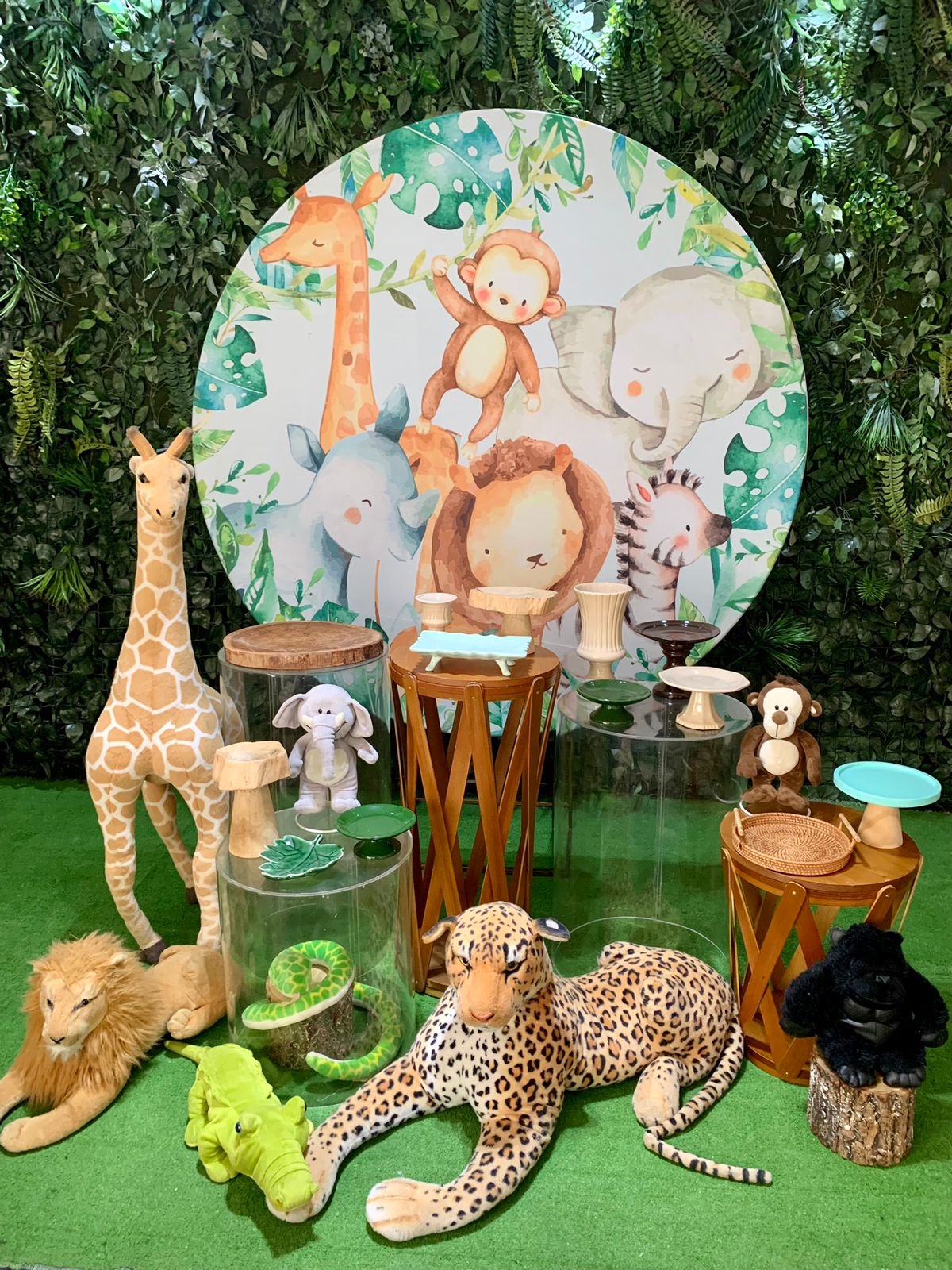 Kit safari 